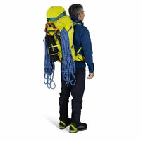 Osprey Mutant 38