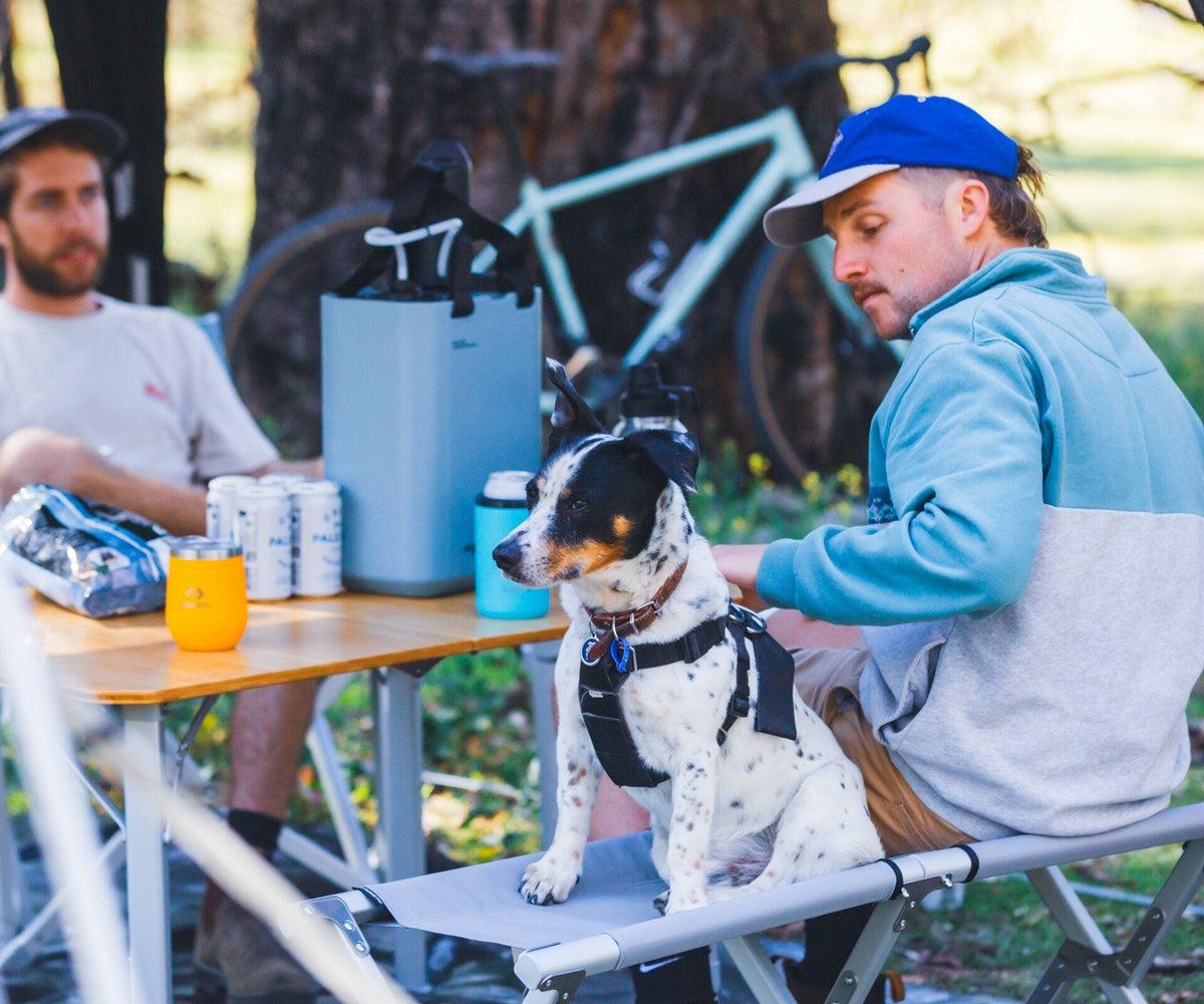 Dometic GO Compact Camp Bench