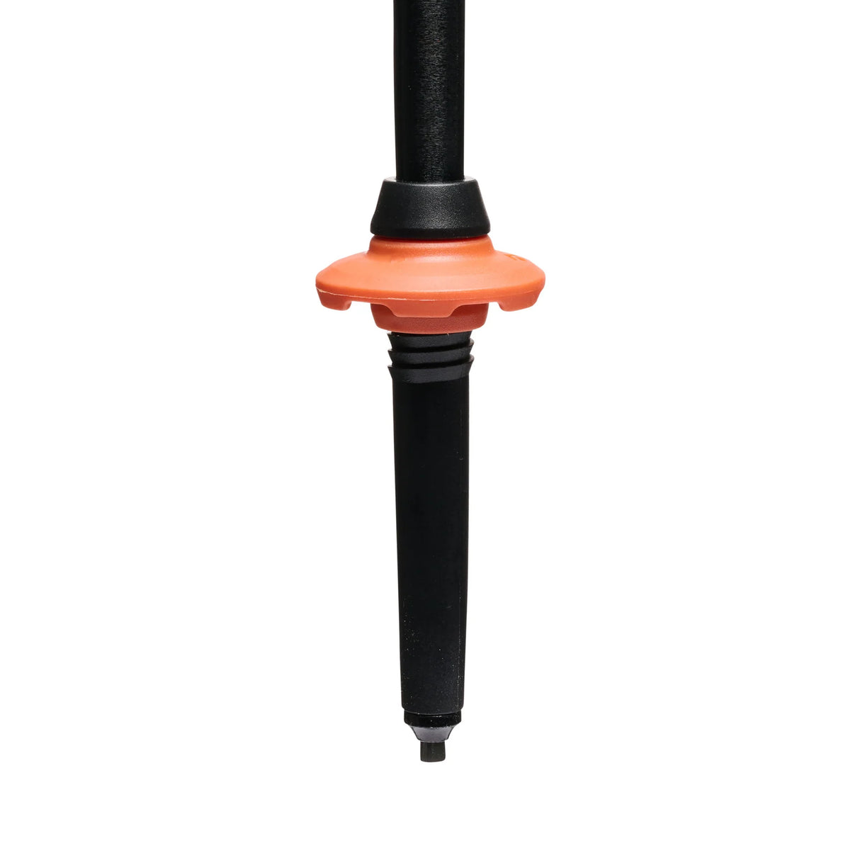 Black Diamond Trail Cork Trekking Poles