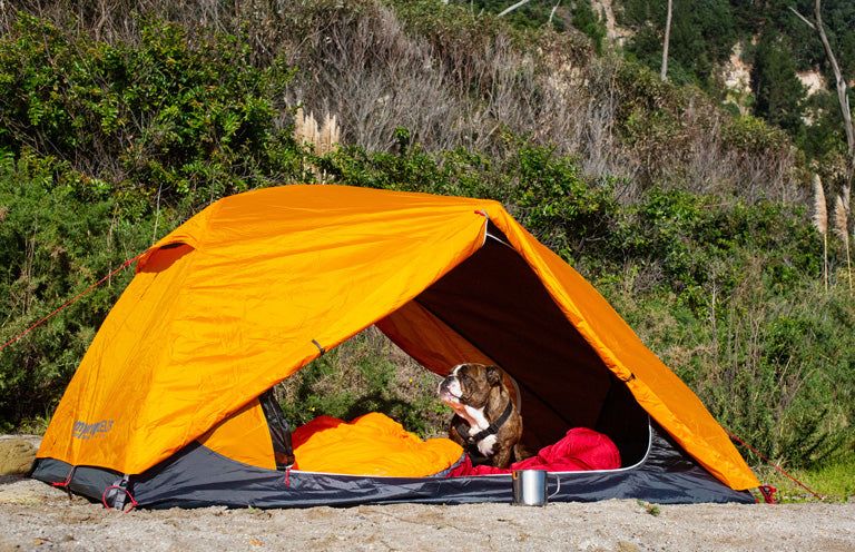 Zempire Zeus 2 Person Dome Tent