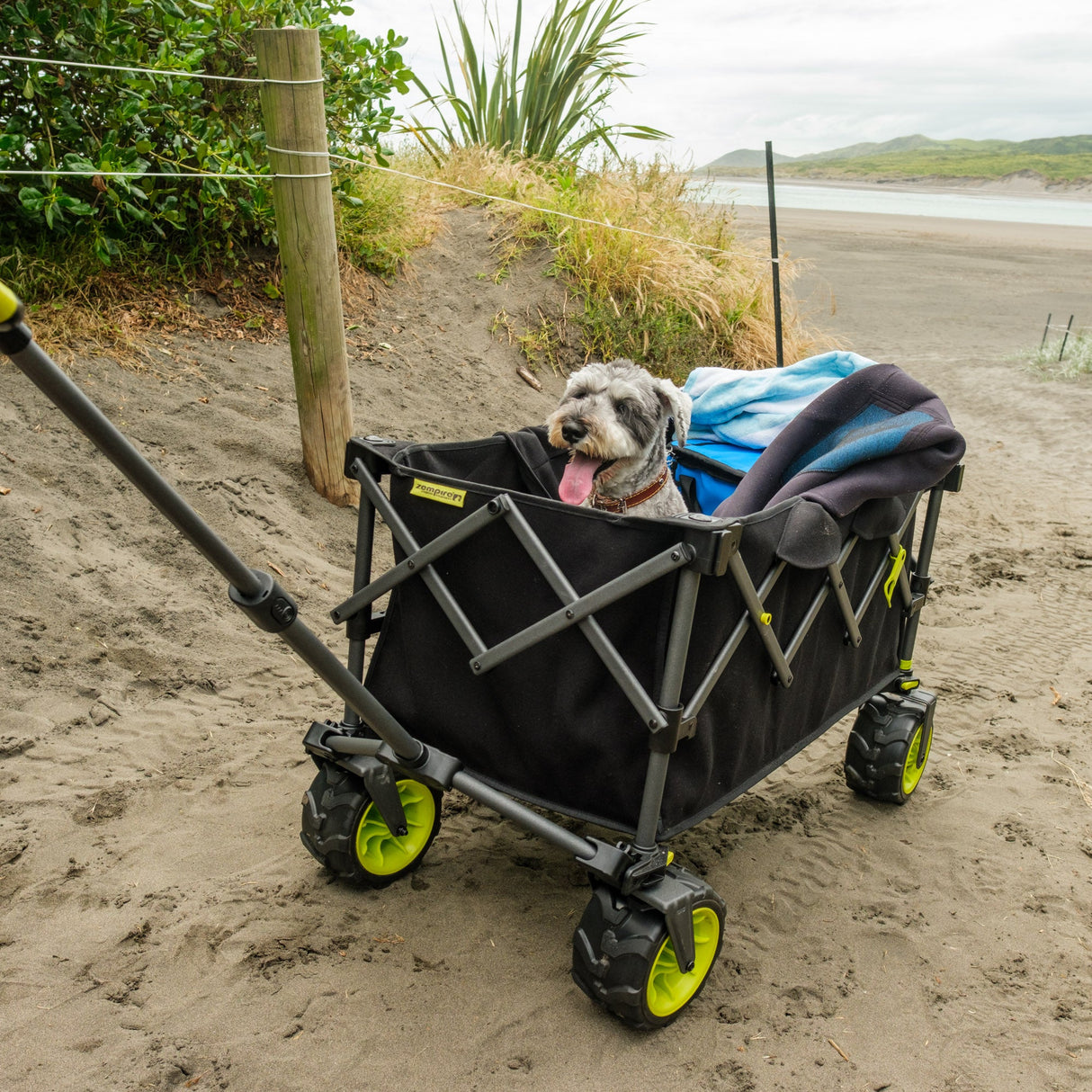 Minimax Camp Wagon