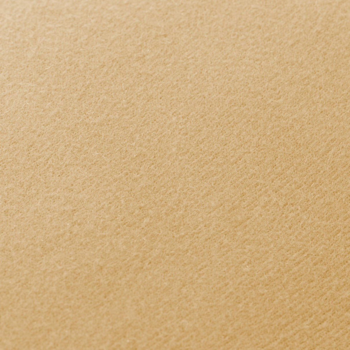 https://cdn.shopify.com/s/files/1/0521/7737/1329/files/1061b9da5e58d5d7e77a102f1be01ff4342b809d.jpg?v=1764916326