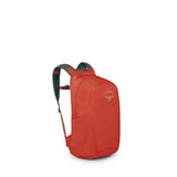 https://cdn.shopify.com/s/files/1/0636/7789/0627/files/imgi_3_vcs8nsww_1.jpg?v=1757909794