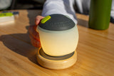 Zempire Megadome 1000