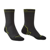 https://cdn.shopify.com/s/files/1/0521/7737/1329/files/niezewj3orosvhsiditf.jpg?v=1772771340
