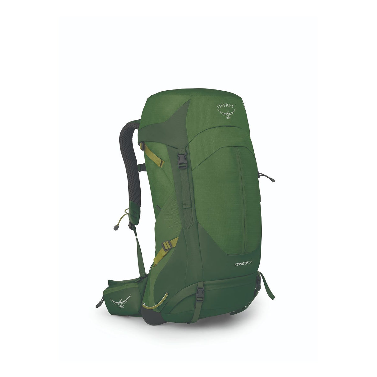 Osprey Stratos 36