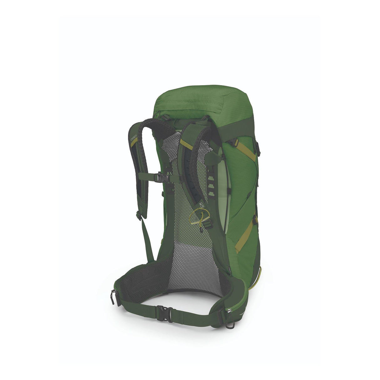 Osprey Stratos 36