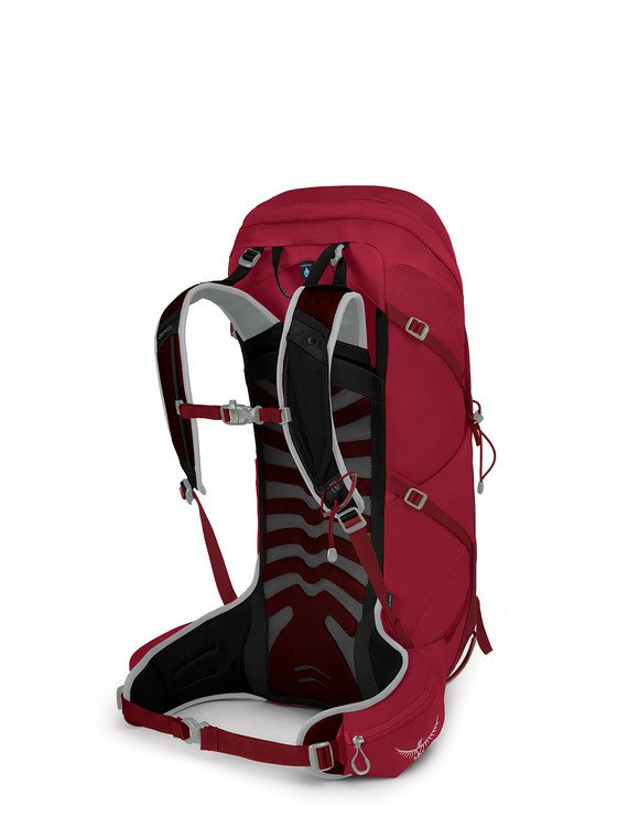 Osprey Talon 36L
